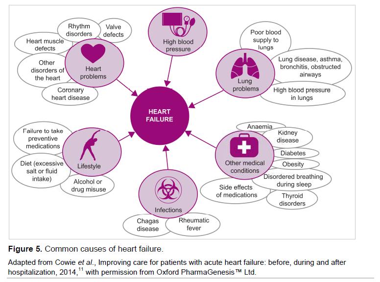 Etiologie hartfalen Bron: ESC 2014.