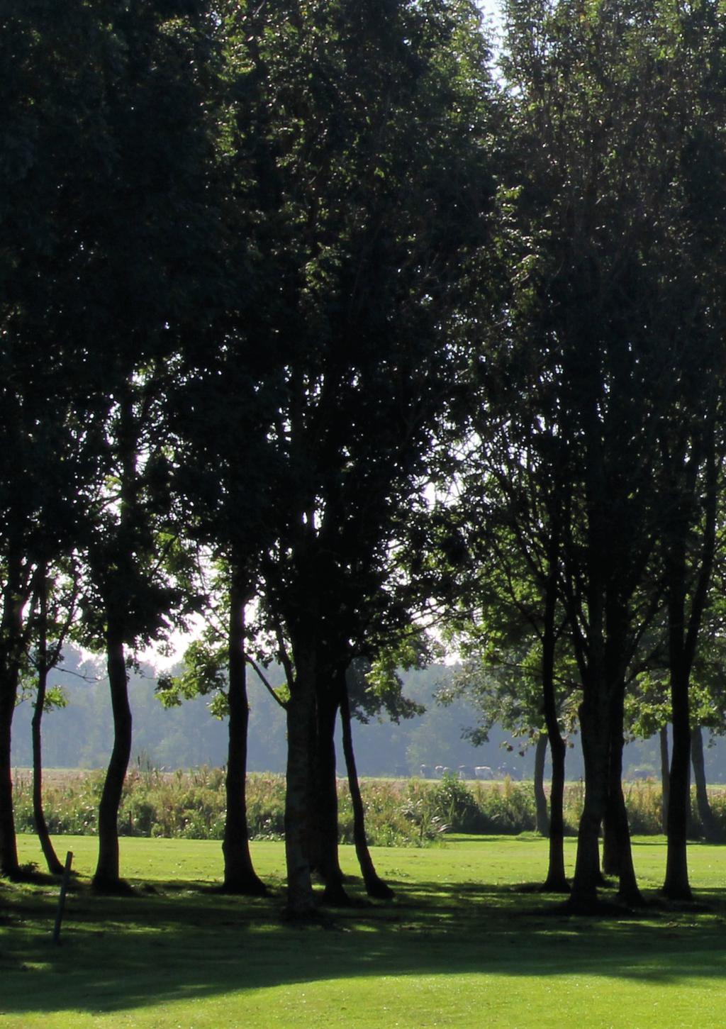 MA NACHTGOLF VOOR UITBUS PLUS ZUIDPLAS 3/9 DI GOLFEN VOOR STICHTING PASSIE 4/9 De stichting Uitbus Plus Zuidplas Dinsdag 4 september staat in het teken organiseert