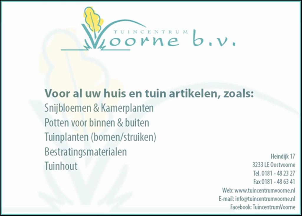 Bonsai Vereniging Rijnmond Gevraagd aan.. Simon Lokker In deze rubriek zullen we aan de hand van vragen onze leden aan de tand voelen over hun kijk op bonsai.