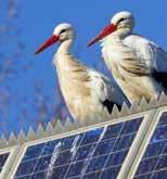 Met SolarEdge produceert elk paneel de maximale energie en wordt vermogensverlies voorkomen.