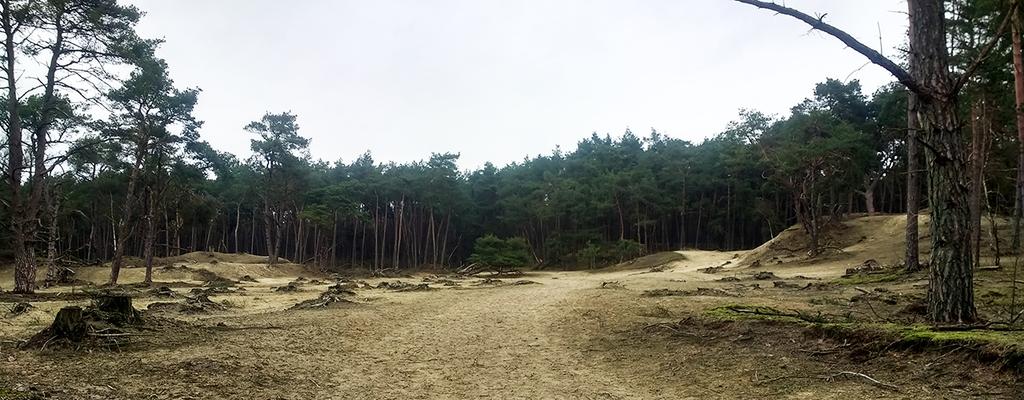 NS MST Verlengde Heuvelrug Trail 17, of 28 kilometer 192 hoogtemeters route en foto s: Han Savelkoel Kenmerken De Verlengde Heuvelrug Trail voert over het noordelijke deel van de Utrechtse Heuvelrug.