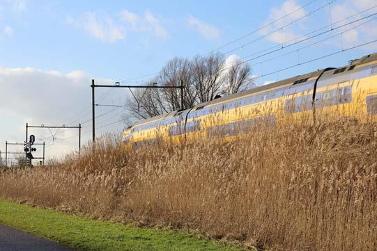 groene vlakken zijn in de huidige situatie bij LSNed in beheer