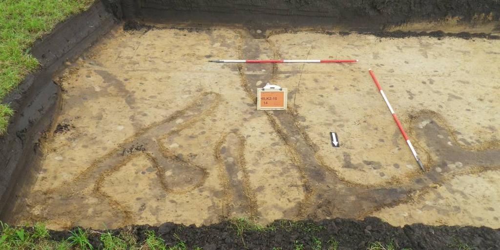 9 Grafveld Een opmerkelijke vondst tijdens het veldwerk betrof de lokalisatie van een grafveld met zowel inhumaties als crematies ter hoogte van werkputten 8 en 12 (afb. 5).