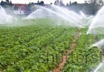 wateroverlast in de winter/zomer >erosie hellende gebieden= ellendegebieden CO²