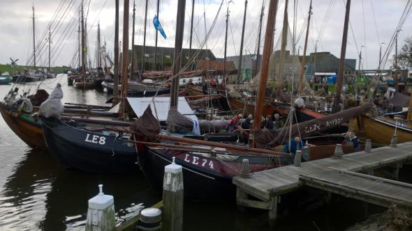 Eind van de middag gaan we naar de groene loods, waar we met een grote groep gezellig een hapje eten,