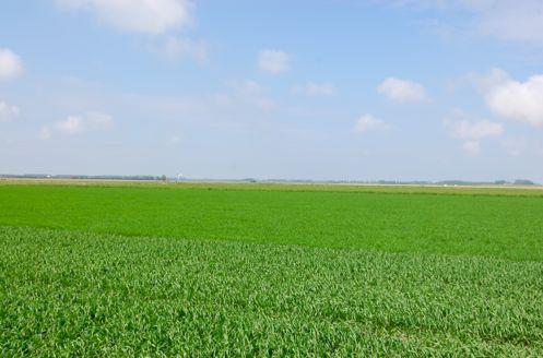 Foto s van het proefveld Maandag