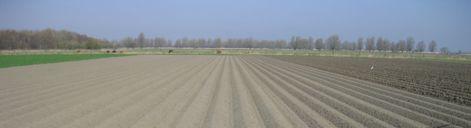 Aardappels gepoot Maandag 22 aprili 2013 door Janna Huis Het werk gaat deze week ook gestaag verder, nu het weer ook beter lijkt te worden. De aardappels zijn vandaag de grond in gegaan (zie foto s).