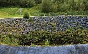 KUNST IN DE OPENBARE RUIMTE De blauwe dromer Jacqueline Verhaagen 2002 Hoge dwarsvaart - Harderhaven Asfalt, basalt en beplanting doorsnee 45 meter, hoogte 5 meter als een vergoeding aan het land: