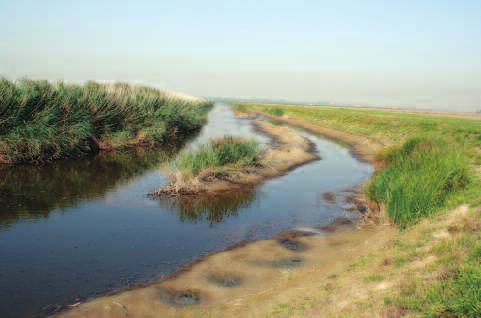 10. Regionaal bestuursakkoord water in 2007 De Provincie Zeeland en de twee Zeeuwse waterschappen sluiten een overeenkomst