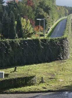 Visie Weginrichting Het landschapsbeeld vanaf de snelweg dient door het clusteren van de voorzieningen en het maken van zo groot mogelijke overspanningen zo leeg en landschappelijk mogelijk te zijn.