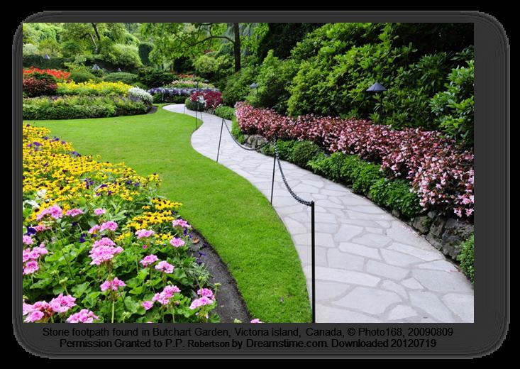 Gunstig vooruitzicht 1 Organisatie-Ecology in één boodschap Natuurlijk bloemenveld Aangelegde tuin Vraag