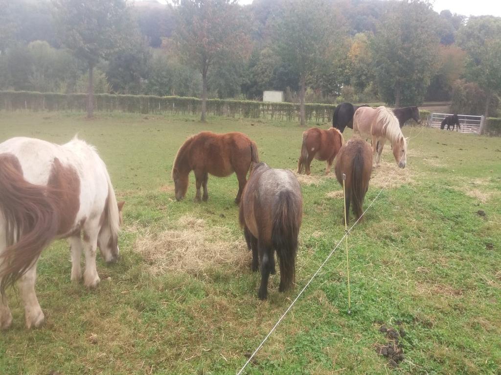 geleerd en een hoop werk verzet.