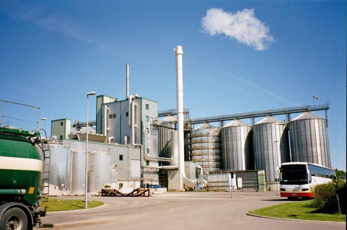 Eerste generatie bioethanolproductie GRONDSTOFFEN: Brazilië: rietsuiker VS: mais (zetmeel) EU: tarwe (zetmeel) Problemen: