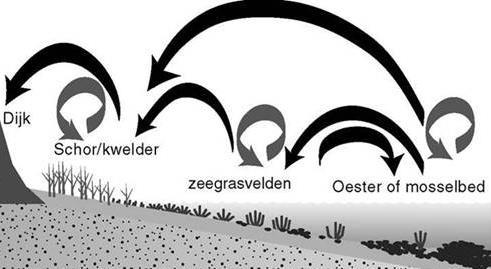 Hoe worden biobouwers gebruikt?