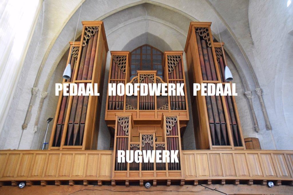 Het Hoofdwerk is het meest omvangrijke en belangrijke onderdeel van het gehele orgel, het Rugwerk is het gedeelte waar de organist achter zit, met zijn rug er naartoe, en het Pedaal wordt gevormd