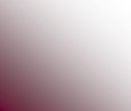 ORGANISATIE Maandblad van de Postzegelvereniging Valkenswaard E.O. 20e JAARGANG oktober 2016 Volgende uitgave: november 2016 Voorzitter & Rondzendverkeer & Bibliotheek Secretaris Penningmeester & Veilingzaken Dhr.