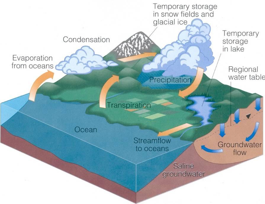 oofdstuk 3. Water Figuur 3.2: Grafische weergave grote waterkringloop (bron: Environmental Science) verdamping: De verdamping uit de oceanen bedraagt naar schatting φ v,verdamping = 425.