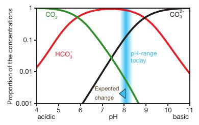 5.8. Zure regen In oceaanwater is de 3 O + concentratie uiteindelijk dus in evenwicht met de CO 2 -concentratie in de atmosfeer.