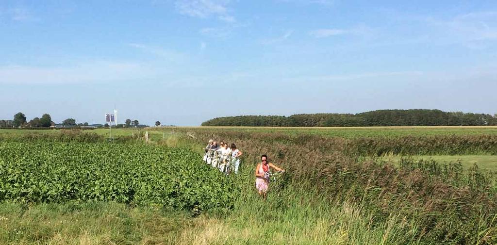 Pingjummer Gulden Halsband niet meer