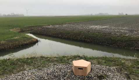 Vijfhoek van Jeroen Hoogstraten als stapsteen in het landschap en platform