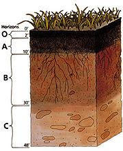 Rolvanbodemenbodemstructuurinwaterbeheer De bodem is een complex systeem met vele primaire en secundaire eigenschappen die van belang zijn voor het regionale watersysteem (infiltratie, waterbergend