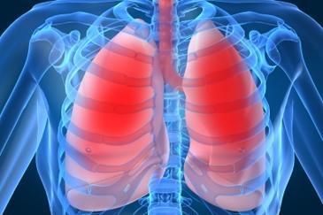 Diagnose COPD (HA) Anamnese (>40 jr, rookhistorie, hoesten, dyspnoe) Lichamelijk onderzoek (BMI,