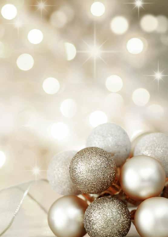 CITY RESORT HOTEL MILL CITY RESORT HOTEL MILL Hoogveldseweg 1 KERSTBRUNCH 32 Geniet tijdens de kerstdagen tussen 11.30-15.00 uur van een heerlijke kerstbrunch.