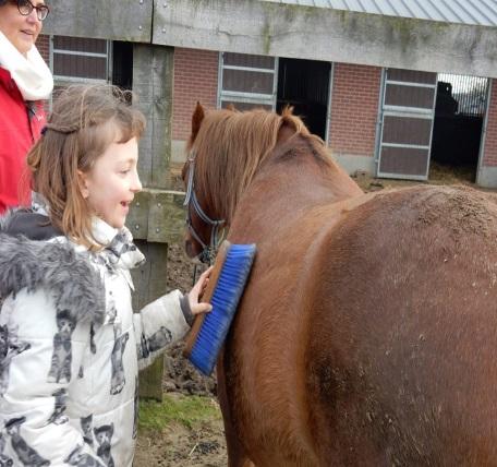 op woensdagnamiddag. De activiteiten zijn bedoeld voor broers en zussen tussen 6-12 jaar. 2. CURSUSSEN Er worden twee brussencursussen aangeboden.