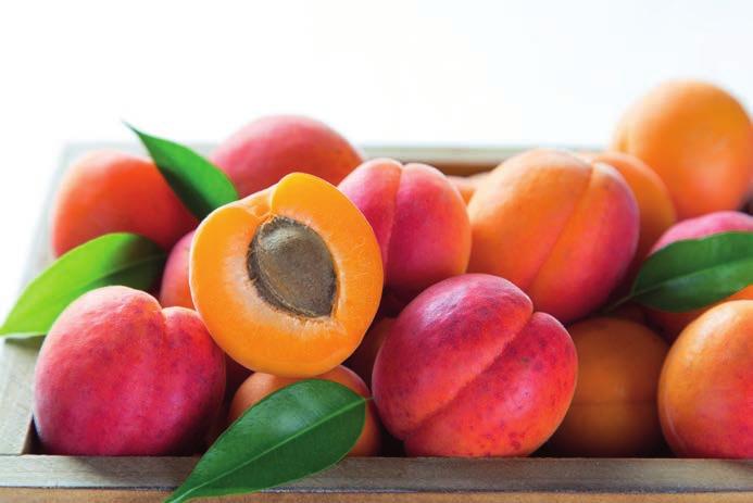 AANDOENINGEN EN SPECIALE MASSAGETECHNIEKEN 46 Hulpmiddelen Verzachtende abrikozenolie Masseer met abrikozenolie.