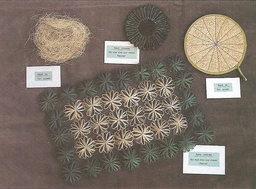 Sisal worden gemaakt uit de bladeren van Agave sisalana. De vele toepassingen omvatten onder meer touw, garen, matjes en zakken.