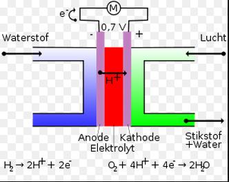 Brandstof cel = van de 21 ste eeuw Kan
