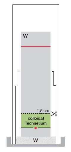 Evaluatie Technetium ( 99m Tc)-pertechnetaat migreert met het vloeistoffront (R f = 0,8 tot 1,0). Als u geen scanner hebt, knipt u de strip op 5 cm van de onderkant door.