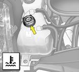 N I V E A U S IV Radiateur - koelvloeistof De controle van het niveau en het bijvullen van koelvloeistof moeten plaatsvinden bij koude motor.