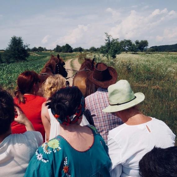 verblijf bij families in de