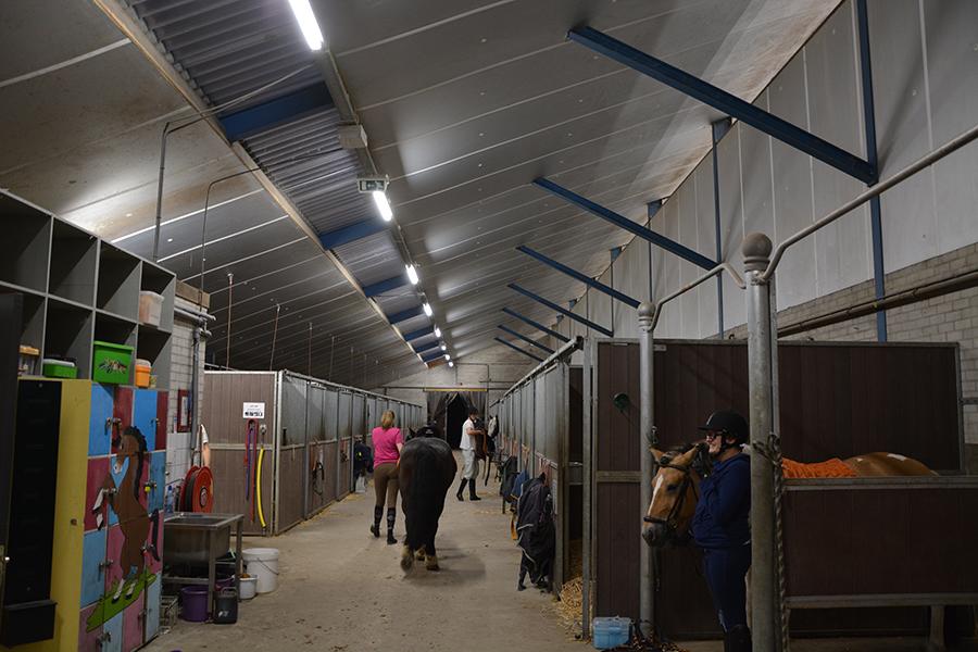 Voorbeeld project Paarden stallen van de Prinses Máxima Manege Totale besparing: EUR 7980,Omschrijving: In de stallen van de Prinses Máxima Manege is gekozen voor de DINO Farm-uitvoering die bestand