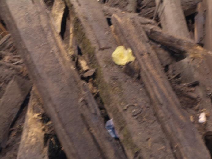 Hout C Geïmpregneerd hout (spoor)bielzen gewolmaniseerd/ CCA hout (blauwgroene kleur) hout met teer Minimale hoeveelheden van toegestaan: spijkers/ schroeven/ bouten tot maximaal 10 mm dikte.