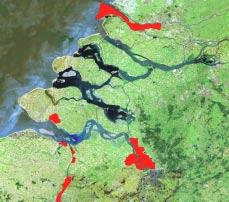 Door de Deltawerken is het estuarium van de Rijn en de Maas beperkt tot de Nieuwe Waterweg en is de dynamiek vrijwel verdwenen.