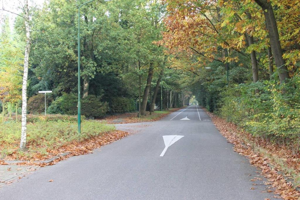 Controlepost 4: Oude Tempellaan / Kamerlingh Onneslaan. De leerling fietst over de Oude Tempellaan en gaat linksaf de Kamerlingh Onneslaan in.