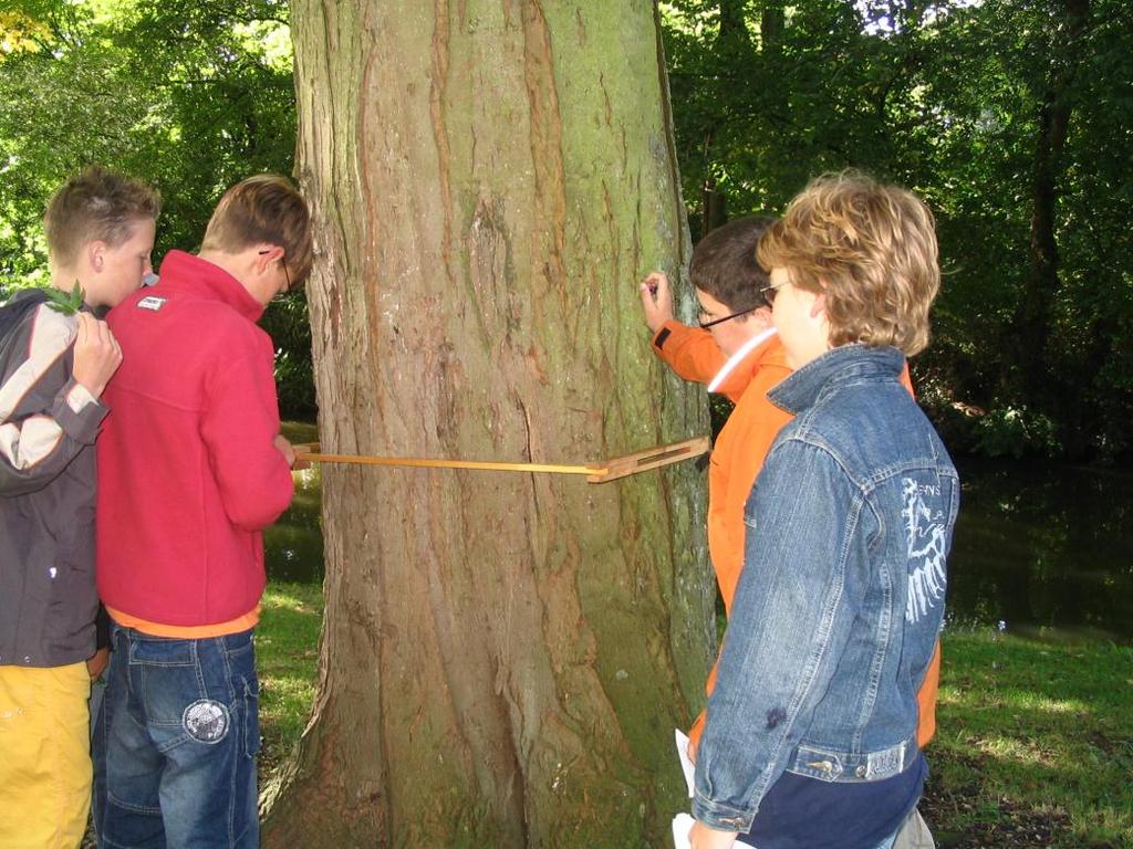 De bomenspeurtocht veldwerk - bovenbouw Inhoudsopgave Korte omschrijving... 2 Organisatie... 3 Met bomen in de klas... 4 Lessuggesties ter voorbereiding van de bomenspeurtocht.