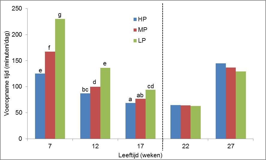 Figuur 13 Verloop van de voeropname tijd (minuten/dag) bij de drie voeders met verschillende eiwitniveaus (HP = hoog eiwitniveau voer, MP = gemiddelde eiwitniveau voer, LP = laag eiwitniveau voer) 3.