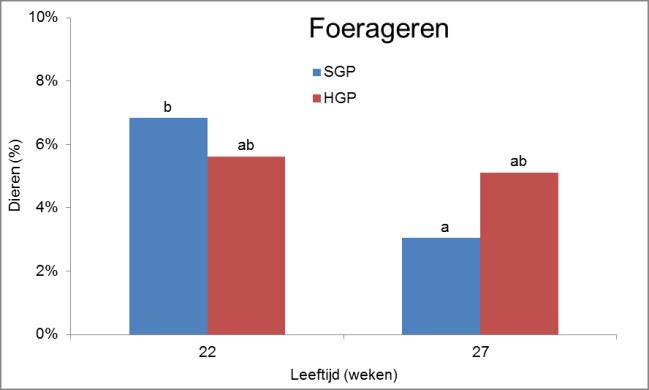 Tabel 18 Effect van groeicurve (GP), eiwitniveau van het voer (P) en leeftijd (WK) en hun interactie op het gedrag tijdens de legperiode (% dieren dat bepaald gedrag vertoonde tijdens de