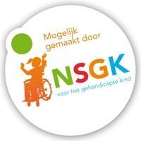 Hoe kan het dat zij wel voor elkaar krijgen wat veel anderen niet mogelijk achten? In1school, een project van NSGK, onderzocht het en presenteert haar bevindingen in een magazine.