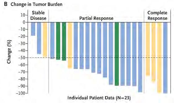 Nivolumab zeer sterk voorbehandelde patienten (post-brentuximab en