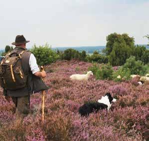 Verder zijn het Reggedal, de veengebieden en het charmante agrarische landschap Door de combinatie tussen de landelijke omgeving en het met z n karakteristieke boerderijen beeldbepalend in de