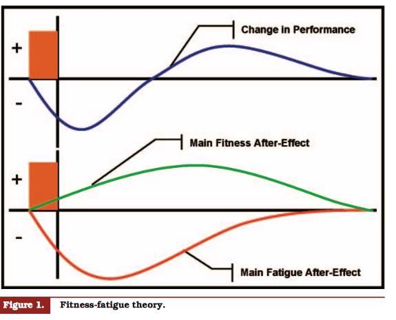Achtergrond - herstellen Fitness- fatigue model Het actuele prestatieniveau kan worden ingeschat als de differentie tussen fitness- en vermoeidheid- reacties op training.