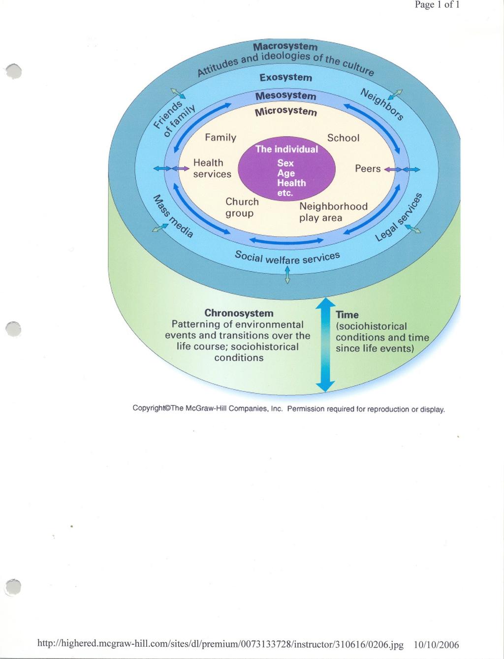 Bio-ecological transactional model FH