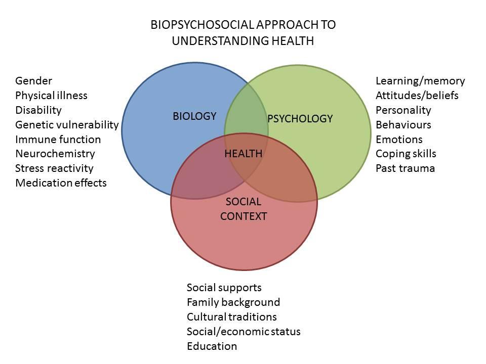 Bio-psycho-sociale model Ref: