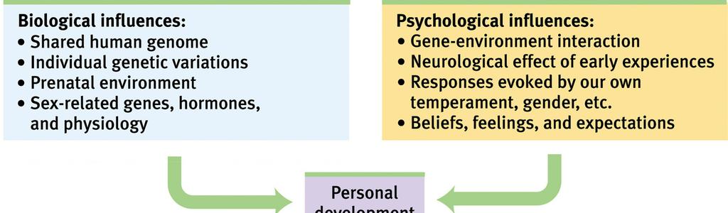 com/health-psychology/ FHML - Social