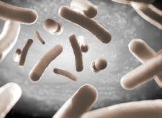 Langdurig actieve ionen met antibacteriële werking gaan de groei van bacteriën tegen en houden