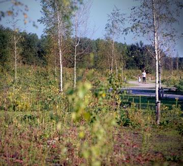 hoek- en rijwoningen in fase 3a ri n g